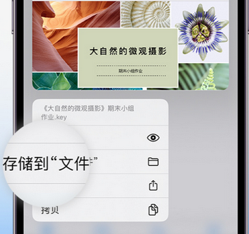 官渡apple维修中心分享iPhone文件应用中存储和找到下载文件