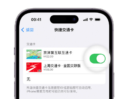 官渡apple维修点分享iPhone上更换Apple Pay快捷交通卡手绘卡面 