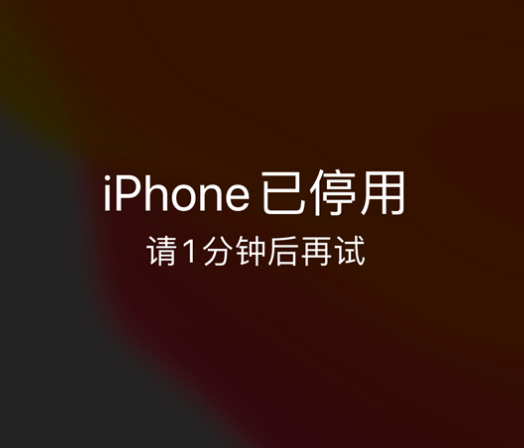 官渡苹果手机维修分享:iPhone 显示“不可用”或“已停用”怎么办？还能保留数据吗？ 