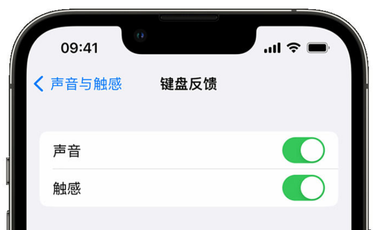 官渡苹果手机维修分享iPhone 14触感键盘使用方法 