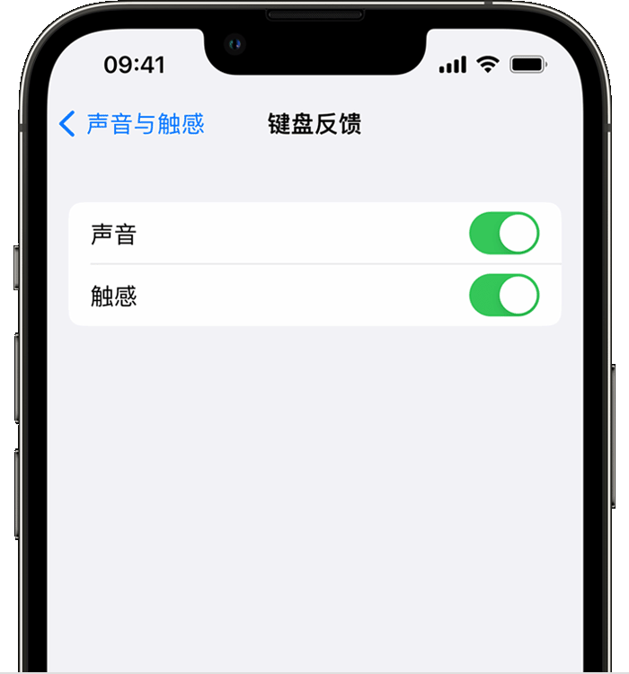 官渡苹果14维修店分享如何在 iPhone 14 机型中使用触感键盘 