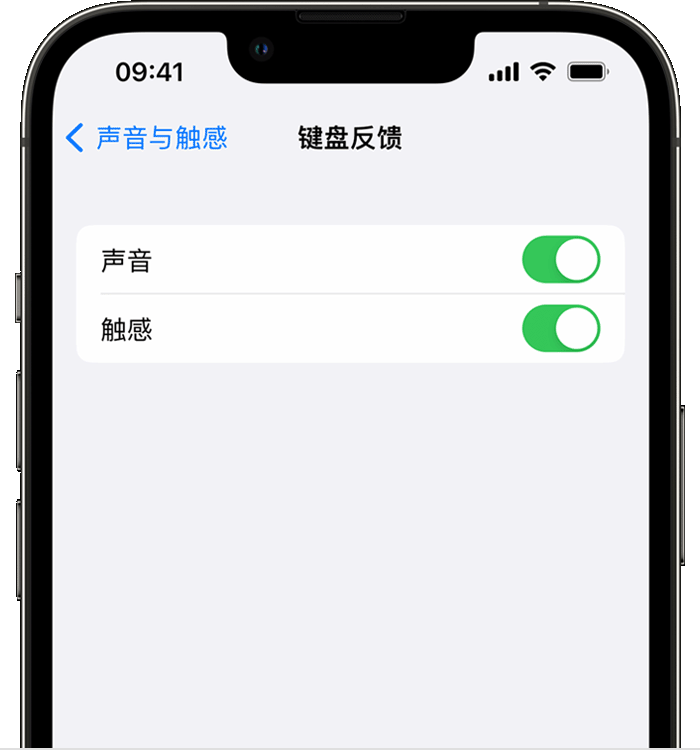 官渡苹果14维修分享iPhone 14 系列机型如何开启键盘声音或触感反馈 