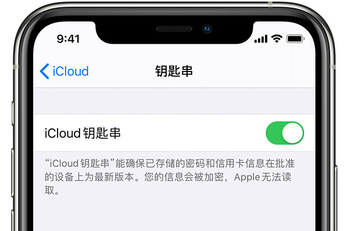 官渡苹果手机维修分享在 iPhone 上开启 iCloud 钥匙串之后会储存哪些信息 