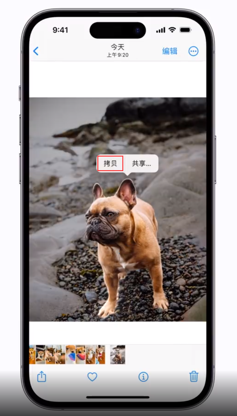 官渡苹果手机维修分享 iOS 16 自带一键抠图功能 