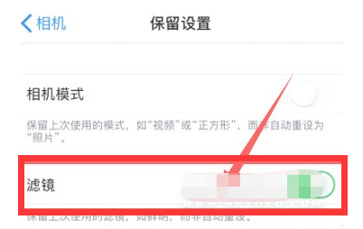 官渡苹果13维修分享iPhone13拍照有绿点是怎么回事 